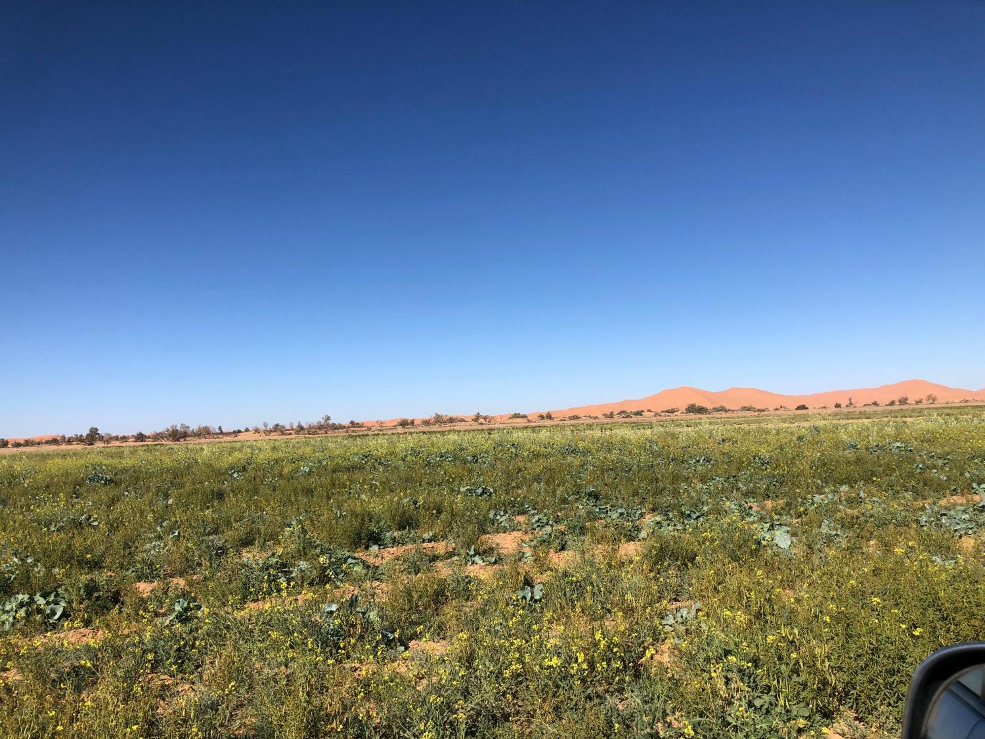 Bivouac Le Petit Prince Merzouga Εξωτερικό φωτογραφία